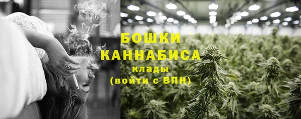 сатива Абдулино