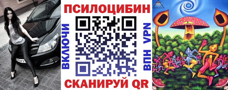 Псилоцибиновые грибы Cubensis  где продают наркотики  Клинцы 