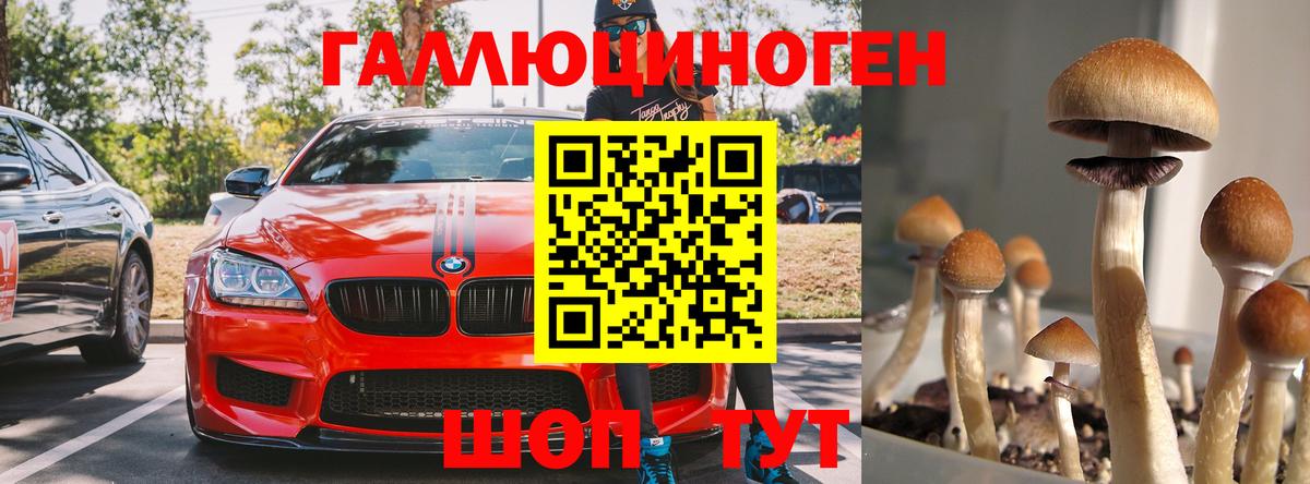 Псилоцибиновые грибы Cubensis Клинцы
