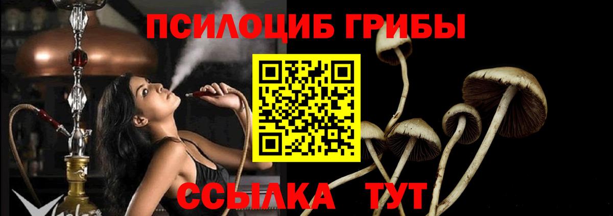 Клинцы  Галлюциногенные грибы прущие грибы  Галлюциногенные грибы Psilocybine cubensis  Вход с VPN 